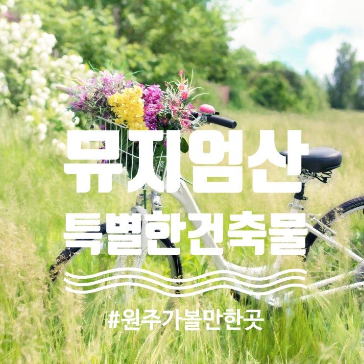  특별한 건축물 원주 뮤지엄 산 방문후기