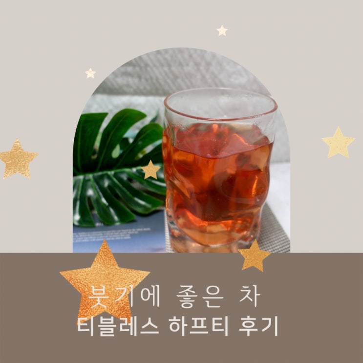  붓기에 좋은 차 추천 티블레스 하프티 후기 몸이 가벼워지는 차