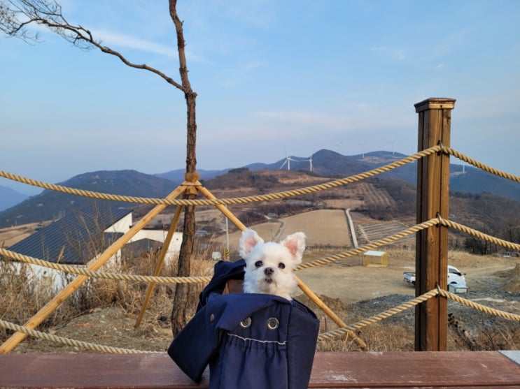  대구근교 애견동반여행 군위 화산산성 하늘전망대