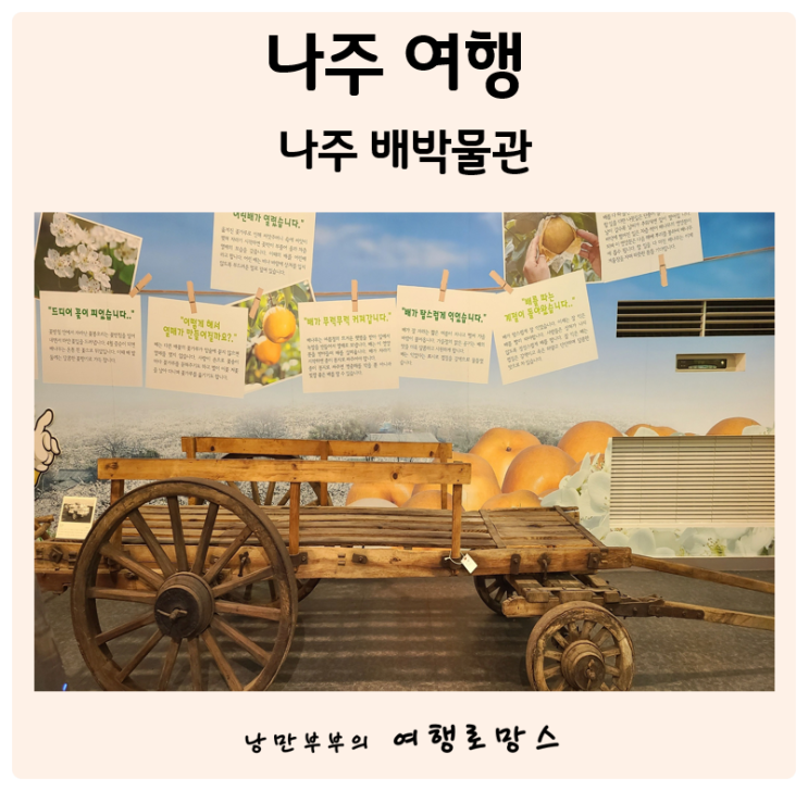  나주여행]나주하면 배? 배향기 가득한  나주배박물관으로 ..