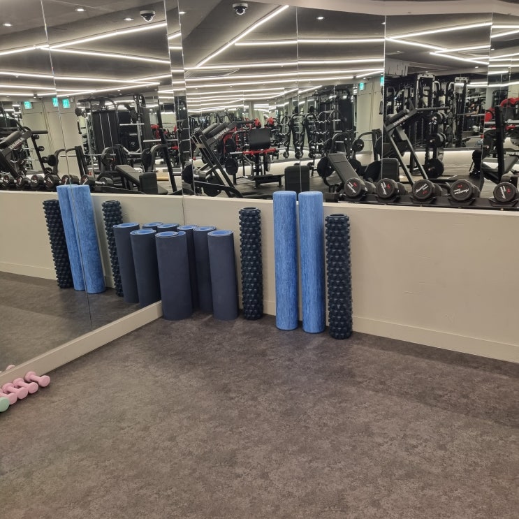  D+4 PT in 더짐성산점, 허리통증과 걷기운동