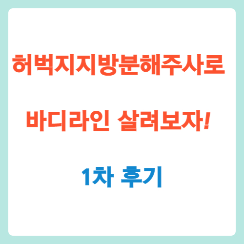  허벅지지방분해주사로 바디라인 살려보자! 1차 후기