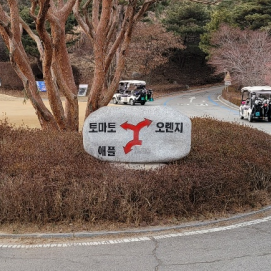  신안CC 토마토 코스 넓은 페어웨이 쉽지않은 그린 후기