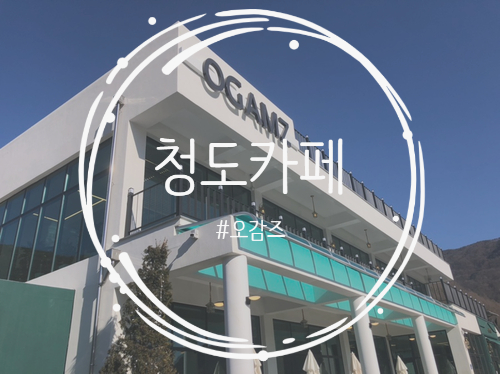  [청도카페] 청도 대형 신상카페 오감즈(ogamz) 다녀온 솔직리뷰