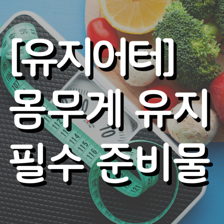  [유지어터] 몸무게 유지 필수 준비물 및 일상 루틴
