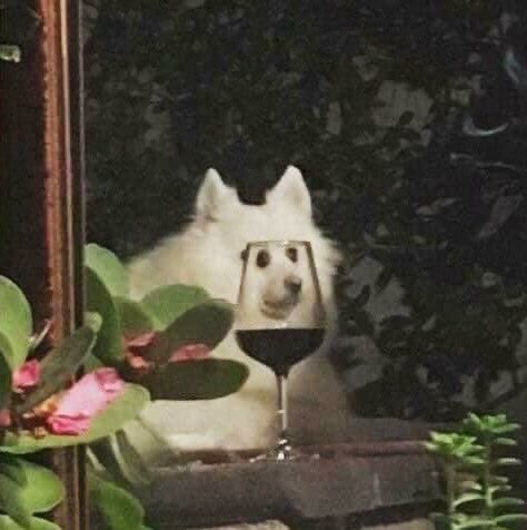  哭哭哭哭哭哭哭