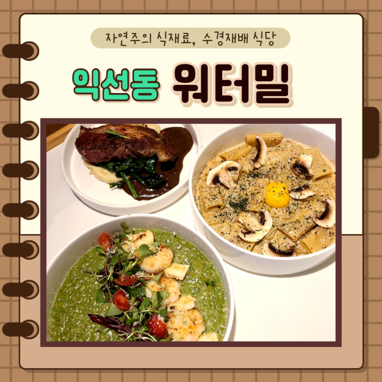  종로3가, 익선동) 익선동 수경재배식당 분위기와 맛 다잡은 워터밀