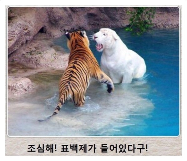  [웃고가자!]재미있는 제목학원!3번째 시리즈가 왔다!