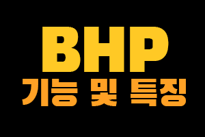 BHP 백서 요약