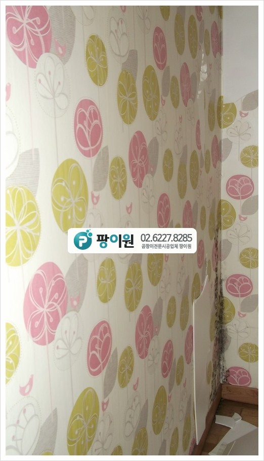 벽지 곰팡이 얼룩이 있다면 벽 부터 해결!