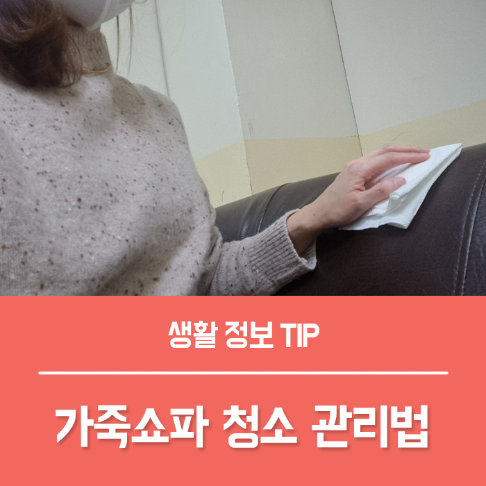  가죽쇼파 닦는법 소파 클리너 청소 냄새 관리 제대로 하기