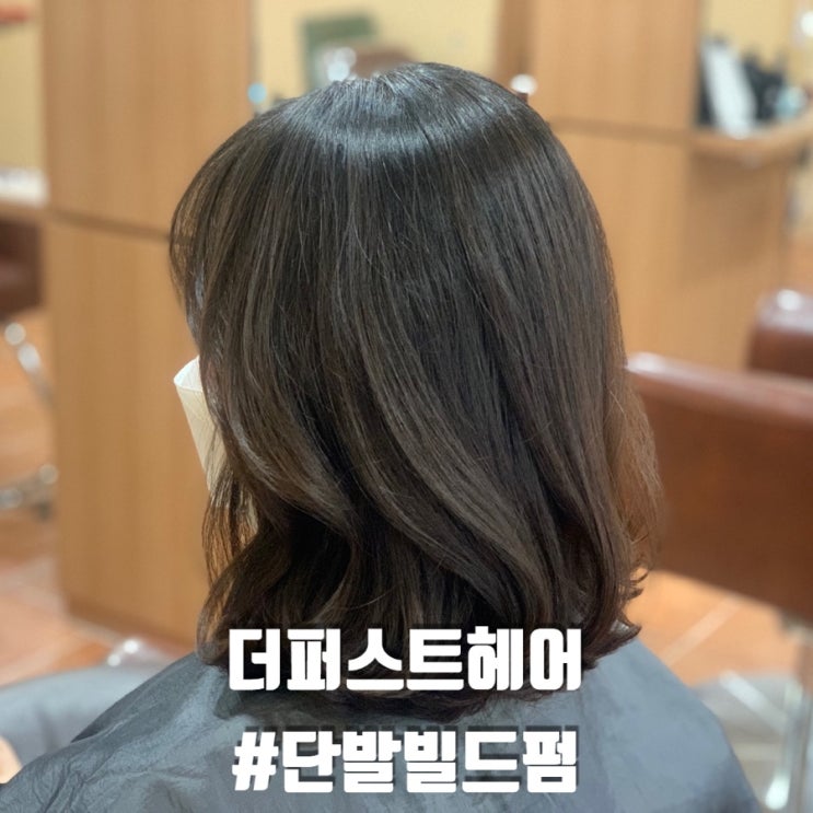  안암미용실 ㅣ 아이유머리 빌드펌 스타일