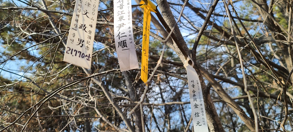 정봉산 사진 4
