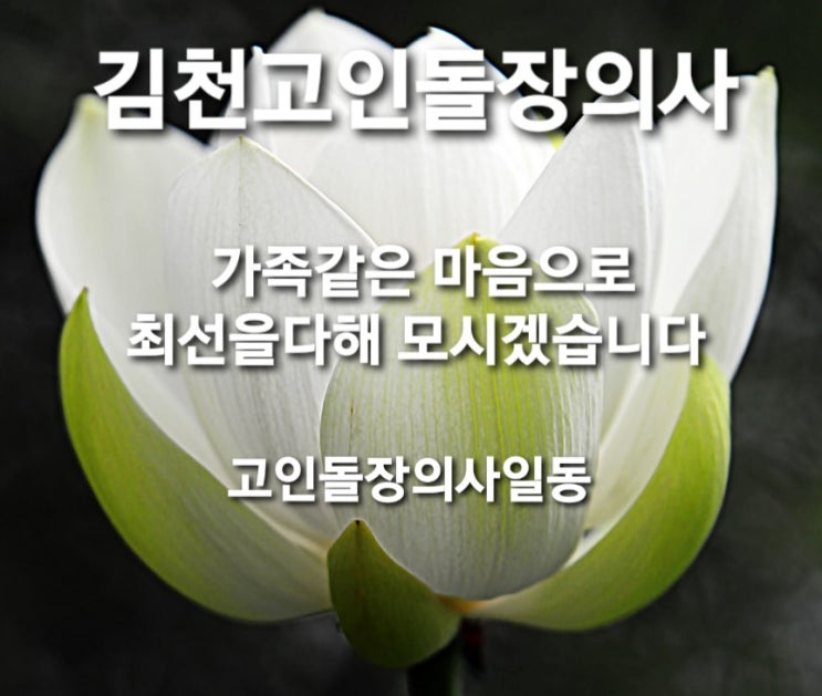  김천 고인돌장의사 #김천이장 #김천벌초 #김천화장 #김천개장 #김천분묘 #분묘보상 #김천납골당 #김천평장 #윤달 #e하늘장사 #김천화장 #김천석축 #김천석물 #김천비석