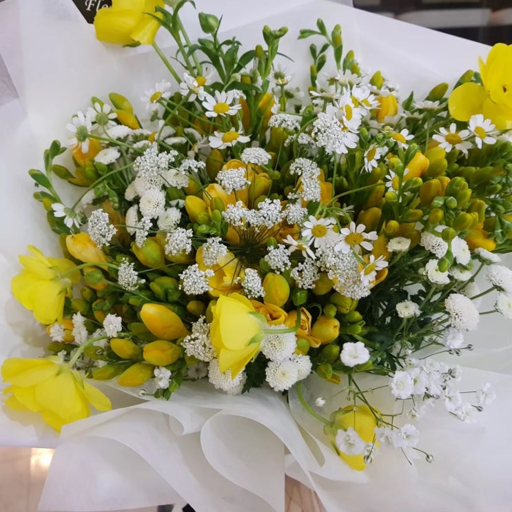  후리지아꽃다발/생일축하꽃다발/가산동,금천구,독산동,철산동,소하동,하안동,광명동,일직동,구로동,남구로,개봉동,가리봉동,가산디지털단지역,구로디지털단지역,전국꽃배달