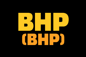 BHP 백서 요약