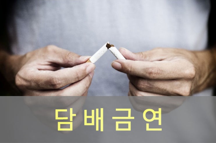  담배 금연방법, 금단현상(증상), 효과, 좋은 음식