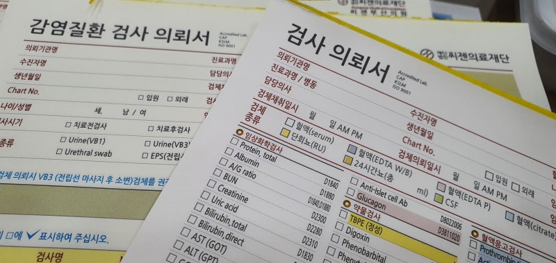 [부산성병 검사] 에이즈 검사는 언제 받아요?(에이즈 검사 시기. 감염 확률) 7