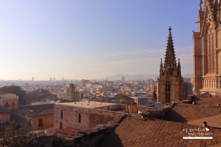  스페인 여행# 바르셀로나 가볼만한곳 대성당 종탑 전망대 (Catedral De Barcelona)
