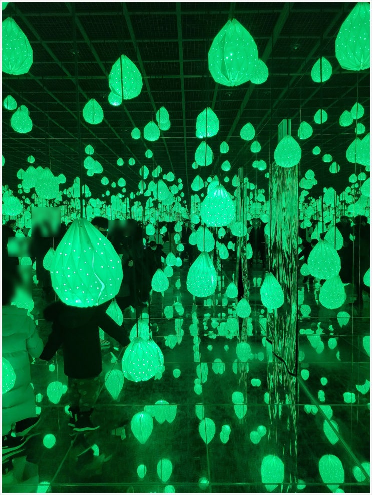  강릉여행) 아르떼 뮤지엄(Arte Museum) 방문기 (연인과 함께, 가족과 함께 구경할 수 있는 곳)