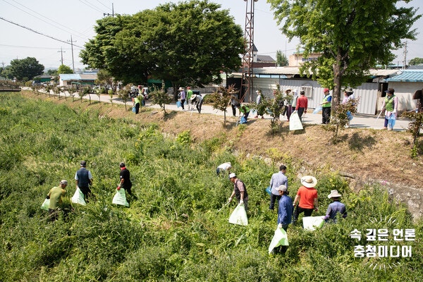 [충청미디어] 증평군 '마을 도랑살리기 공모사업' 11년 연속 선정