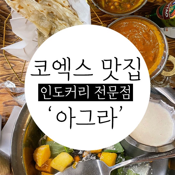 코엑스 맛집 추천 / 인도커리 전문점 ‘아그라’ 내돈내먹 리뷰