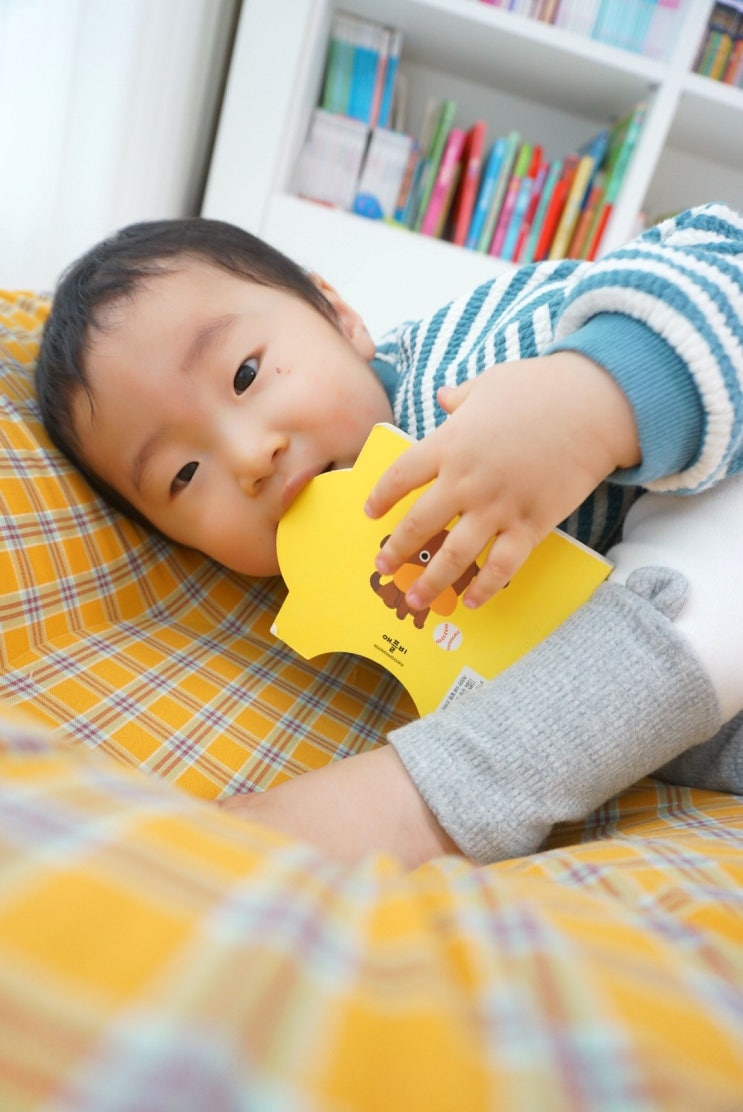  복지로 어린이집 보육료 전환 사전신청 방법, 종일반 신청 자격