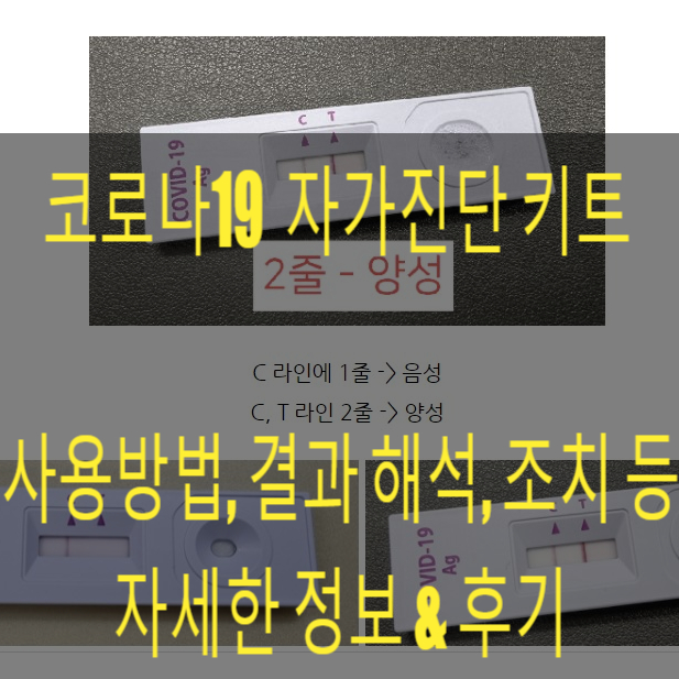 코로나19 신속항원검사 자가진단 키트 사용방법 음성 양성 결과 PCR 후기까지