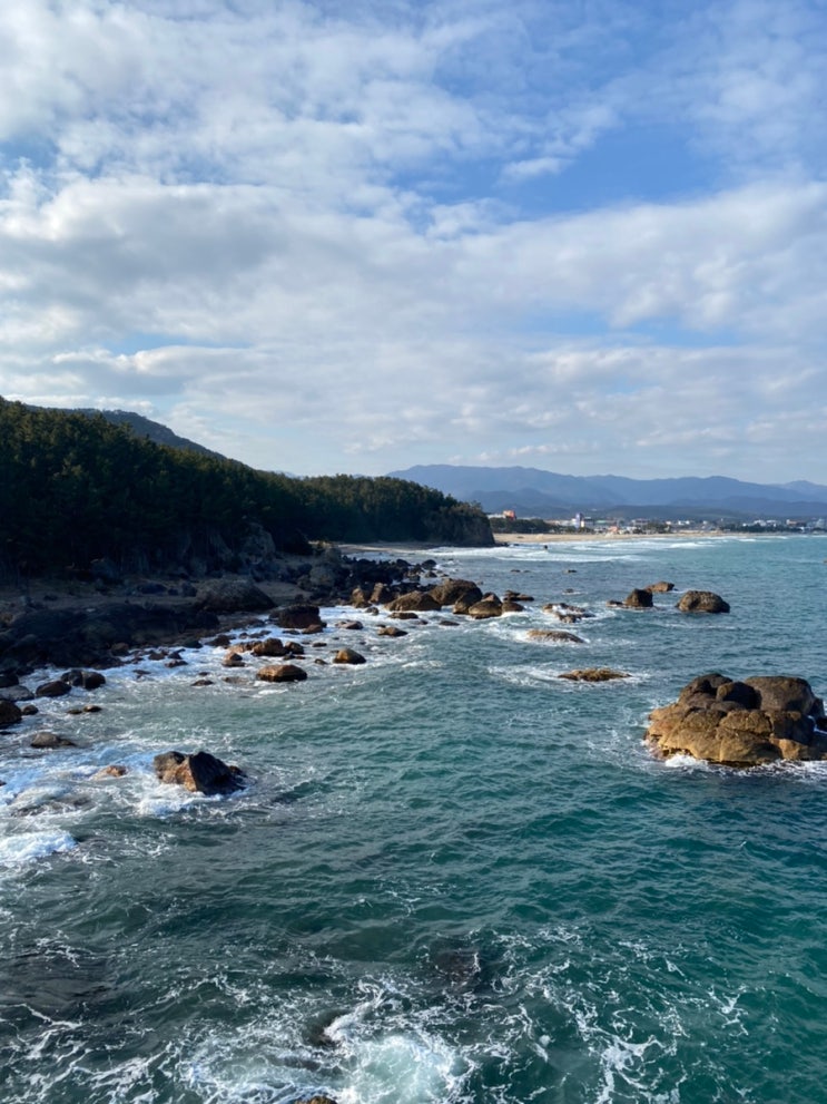  1월 셋째 주 일상