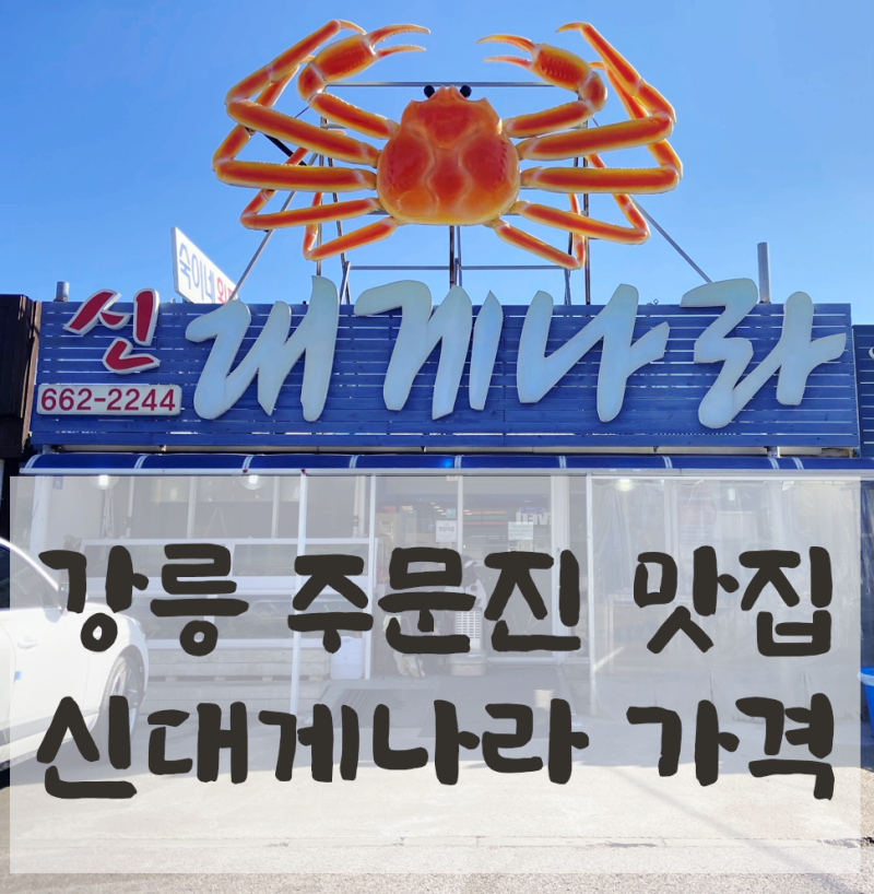 신대게나라 이미지