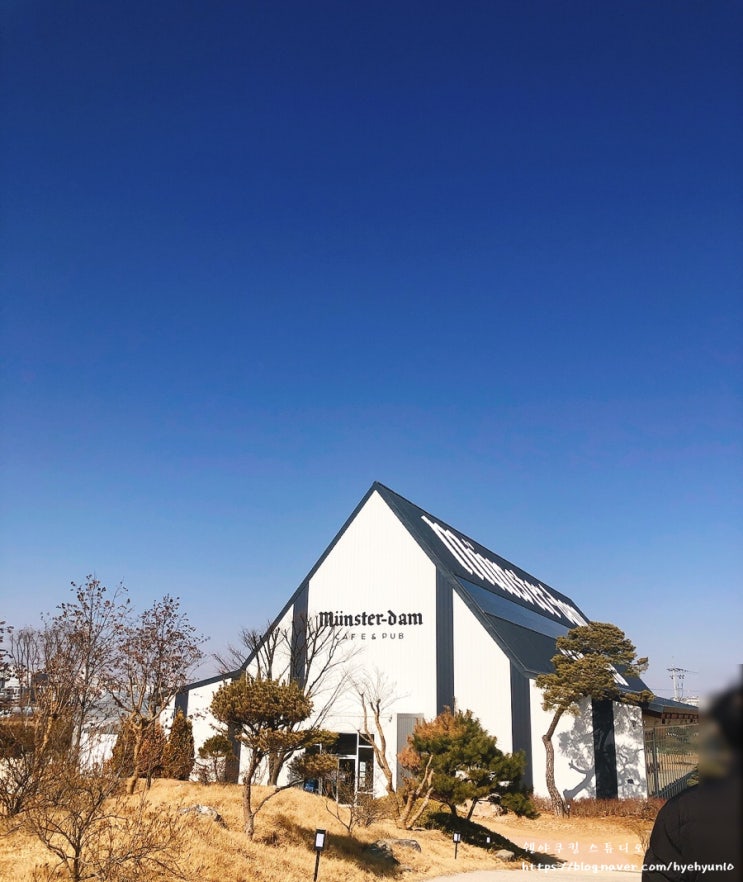  [파주 카페]뮌스터담 베이커리 카페 (베스트 메뉴, 명당자리, 반려견 출입가능)