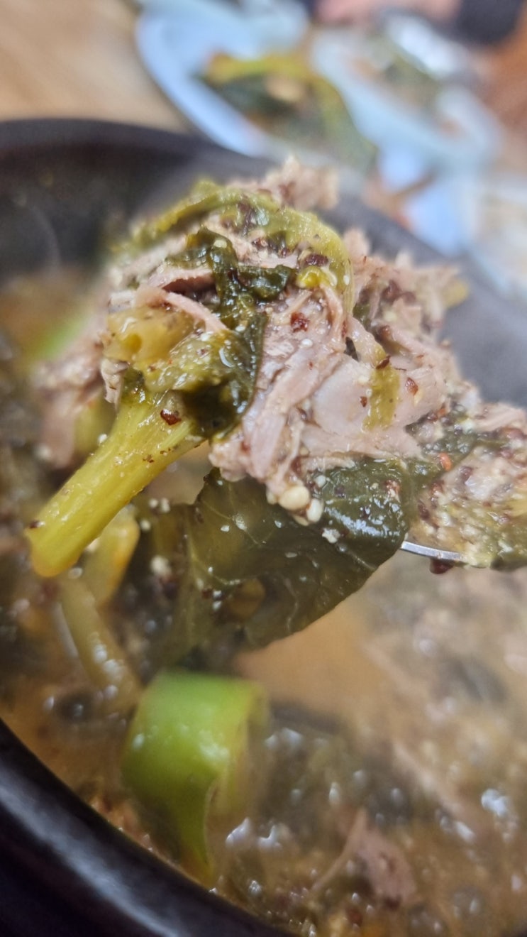  제주 이도이동 맛집 청산유황오리 건강밥상 오리탕