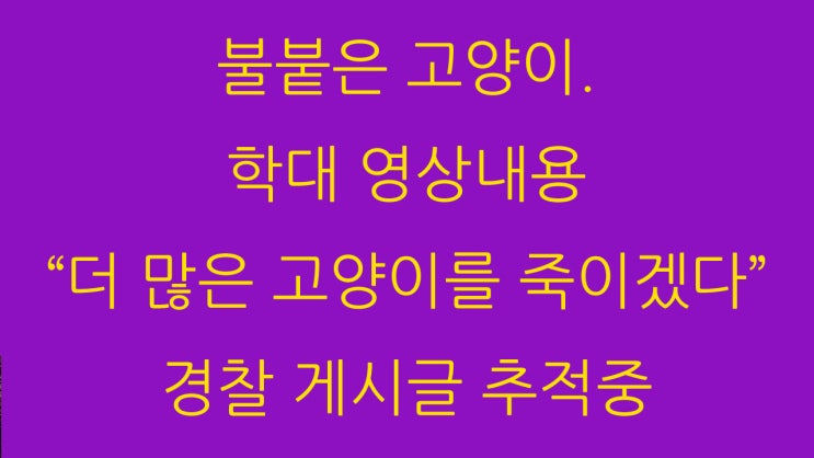  불붙은 고양이. 학대 영상내용 “더 많은 고양이를 죽이겠다”