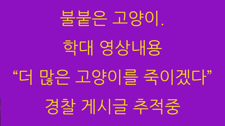 불붙은 고양이. 학대 영상내용 “더 많은 고양이를 죽이겠다”