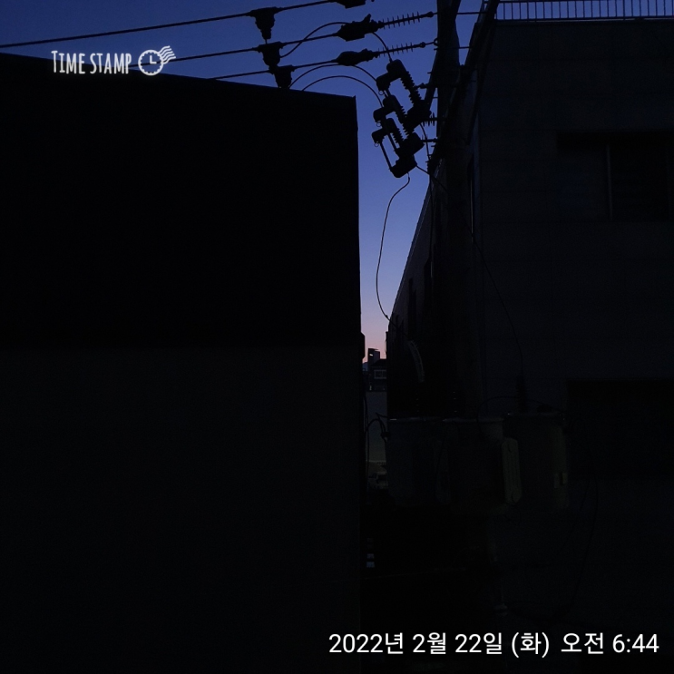  알파카모닝 25일차. 헬스장 매일 안가면 힘들다.