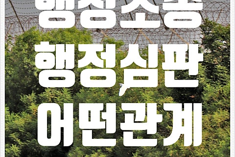 명성행정사사무소 이미지