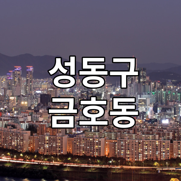  성동구 금호역 아파트 지하철 근처 손임장 금호동 부동산 손품 임장