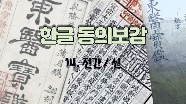  14. 전간(癲癎)/신 (내경편 신)