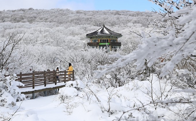  한라산 1100고지 습지 공원(한라산 설원을 걷고 만지다.)
