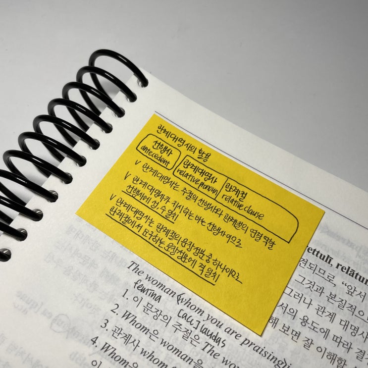  【라틴어, 2022 동계고전어 집중코스 + 2022 동계 소수언어학당】말하는 감자의 서울대 10-15강, 안양대 1-9강 후기 / 라틴어 두 달 배우면 뭐 할 수 있어?