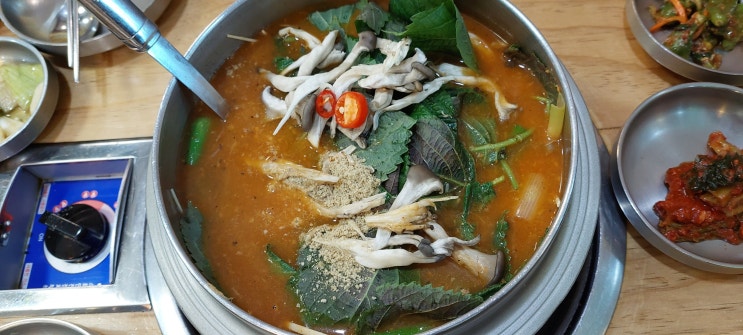  파주 별미 보양 어죽 맛집 청산어죽