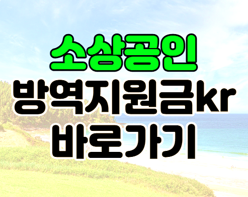 소상공인방역지원금kr 신청 사이트 2차 방역지원금 대상 알아보기 소상공인방역지원금kr 신청 사이트 2차 방역지원금 대상 알아보기