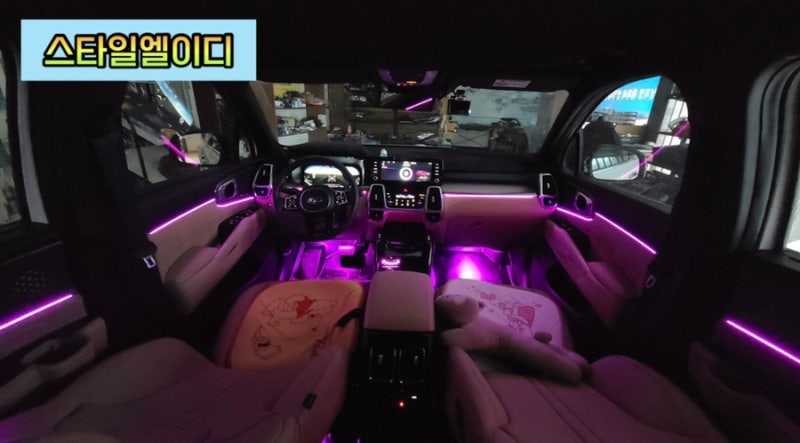 광주 북구 / 엠비언트 / 기아 / 쏘렌토