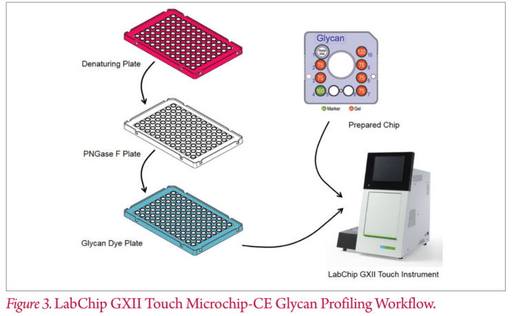 PerkinElmer, Labchip, Rapid Analysis of N-Glycans on theLabChip GXII Touch Microchip-CE Platform