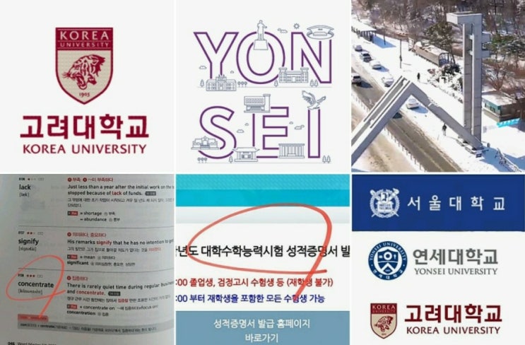  전국 대학교 (국립 사립 인서울 지방대 교대) 목록 대학 취업률 순위