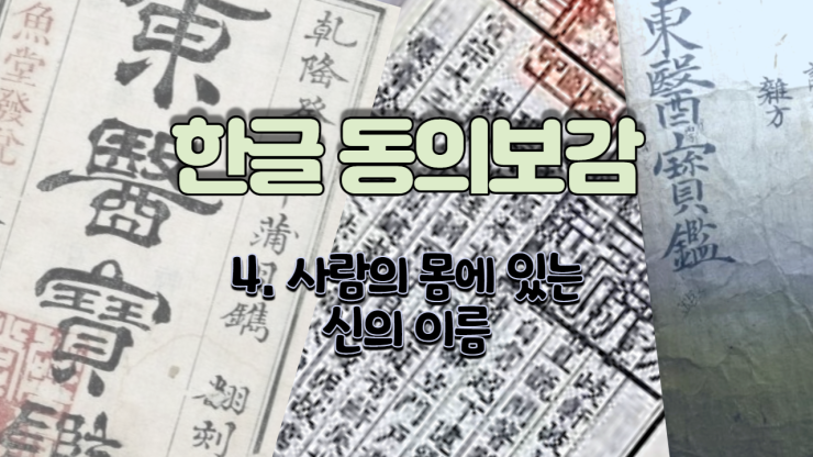   4. 사람의 몸에 있는 신의 이름 (내경편 신)