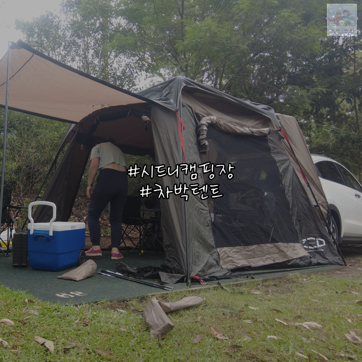  호주캠핑 Lane Cove caravan park에서 차박텐트 즐기기