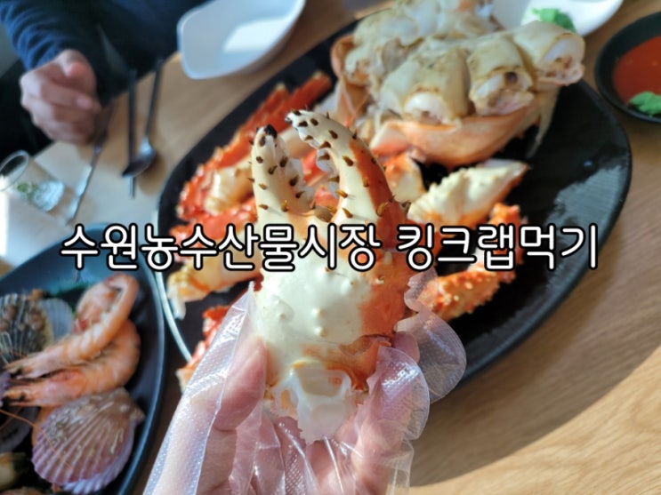 수원 농수산물시장 인어교주해적단으로 킹크랩 저렴하게먹기