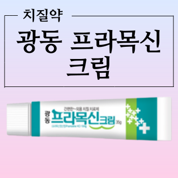  광동프라목신크림 치질로 인한 가려움과 통증을 잡는 치질약 알아보기