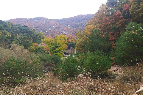오늘참예쁘다(2) 이미지